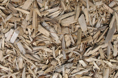 biomass boilers Inkerman